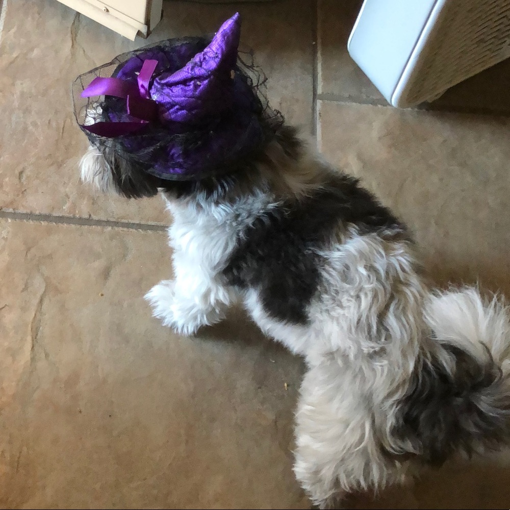 Meet your Posher, Journey